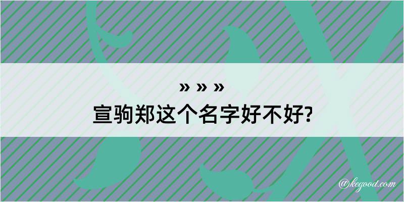 宣驹郑这个名字好不好?