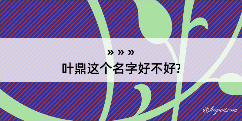 叶鼎这个名字好不好?