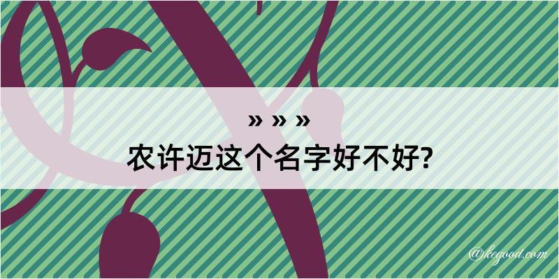 农许迈这个名字好不好?