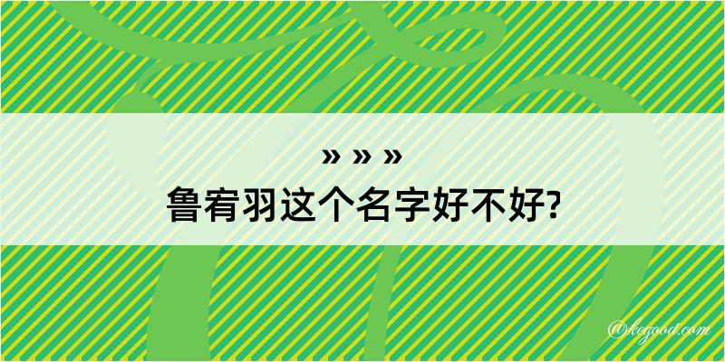 鲁宥羽这个名字好不好?