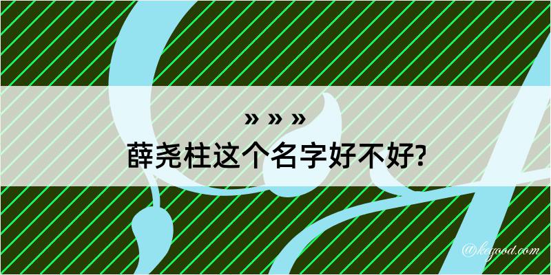 薛尧柱这个名字好不好?