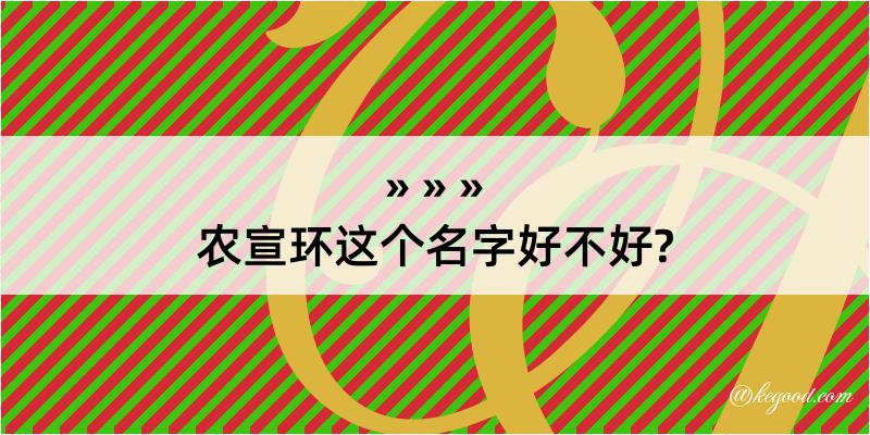 农宣环这个名字好不好?