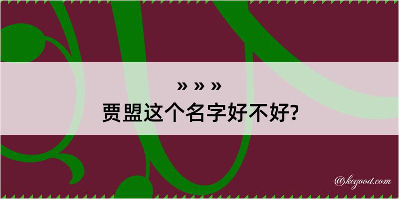 贾盟这个名字好不好?