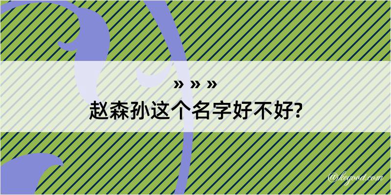 赵森孙这个名字好不好?