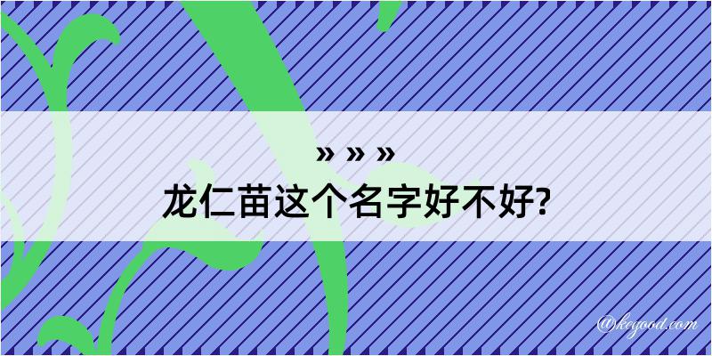 龙仁苗这个名字好不好?