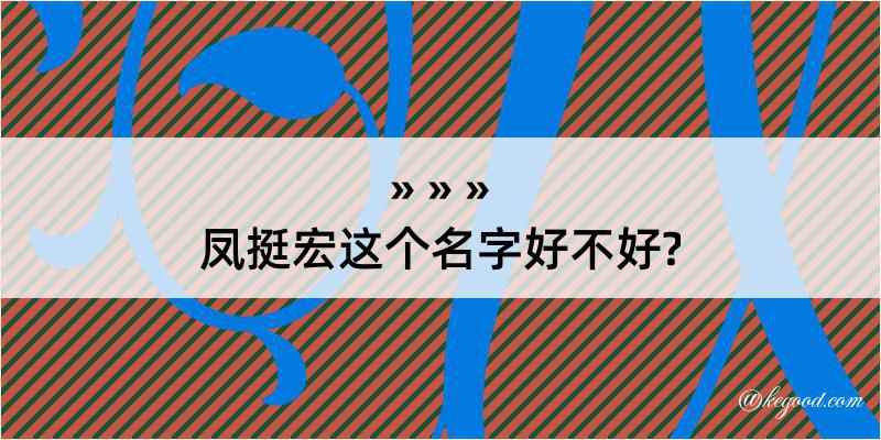 凤挺宏这个名字好不好?