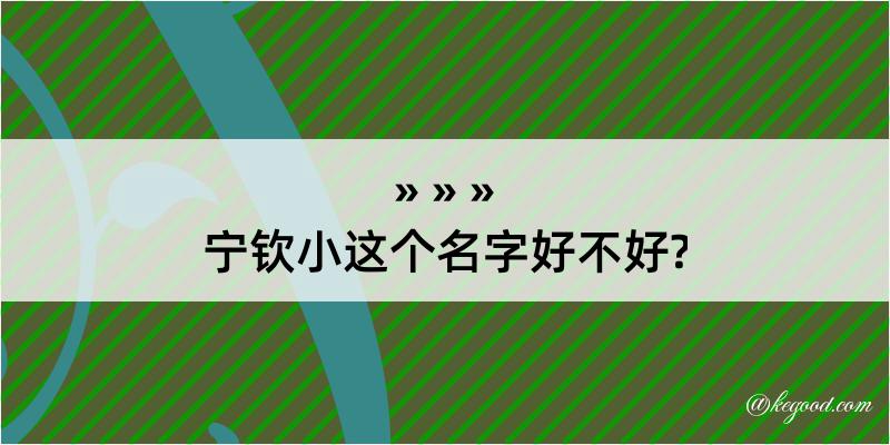 宁钦小这个名字好不好?