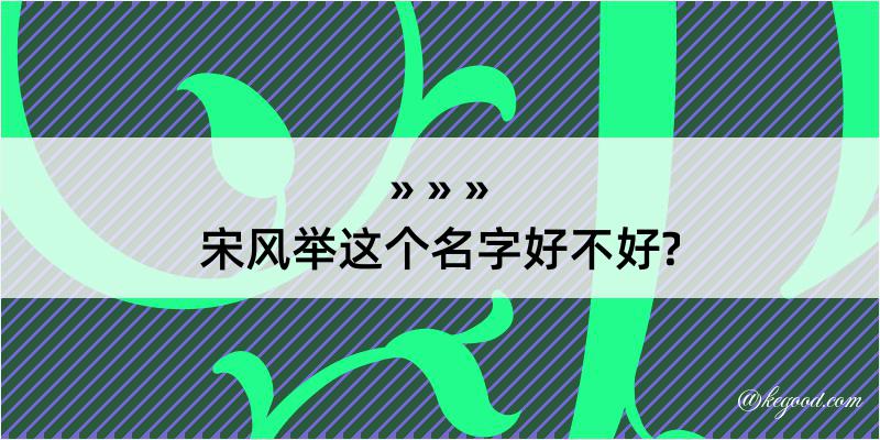 宋风举这个名字好不好?