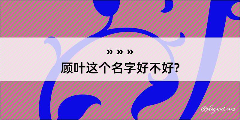 顾叶这个名字好不好?