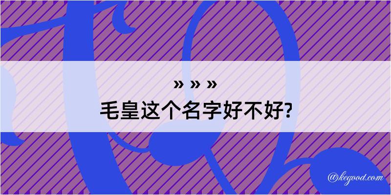 毛皇这个名字好不好?