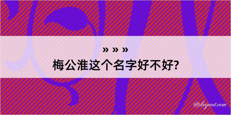 梅公淮这个名字好不好?