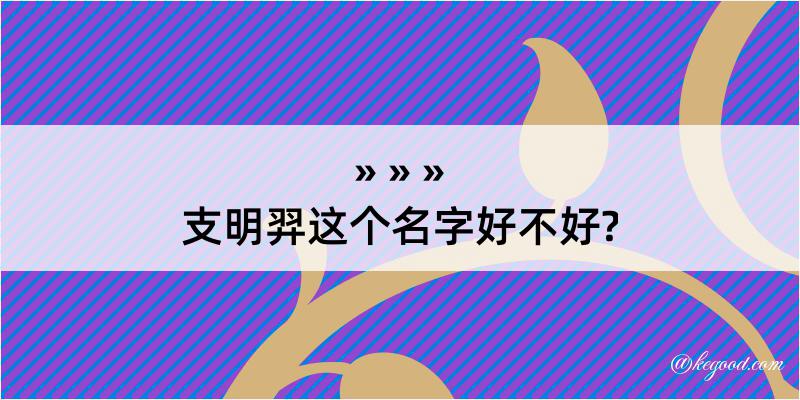 支明羿这个名字好不好?