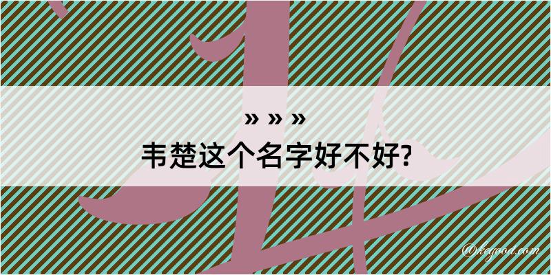 韦楚这个名字好不好?