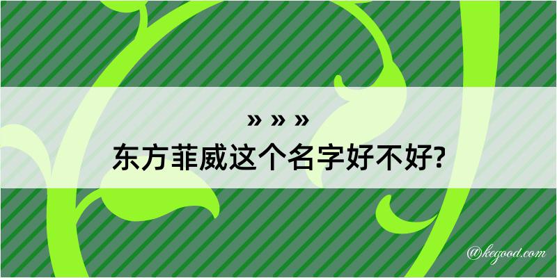 东方菲威这个名字好不好?