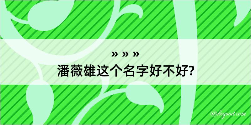 潘薇雄这个名字好不好?