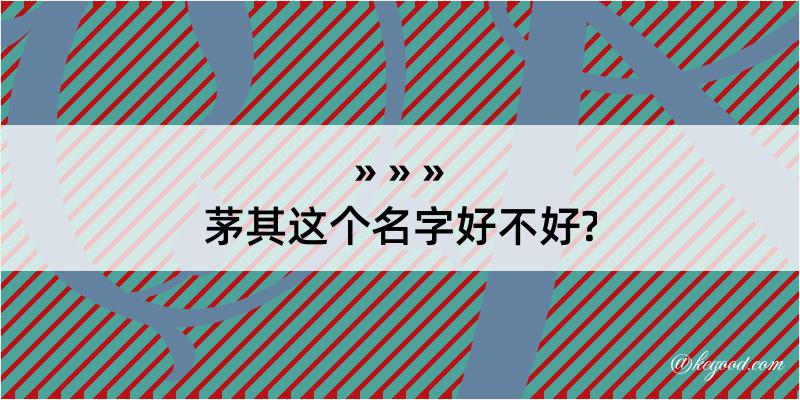 茅其这个名字好不好?