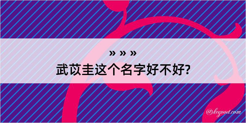 武苡圭这个名字好不好?