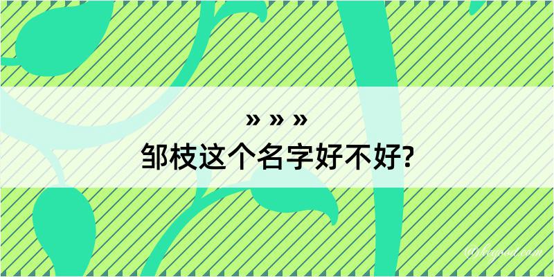 邹枝这个名字好不好?