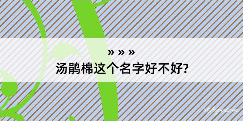 汤鹃棉这个名字好不好?