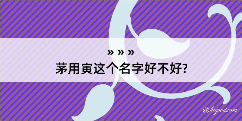 茅用寅这个名字好不好?