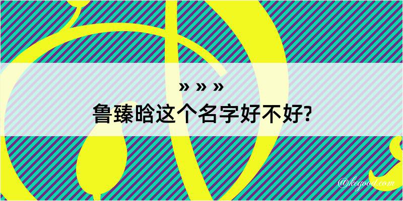 鲁臻晗这个名字好不好?