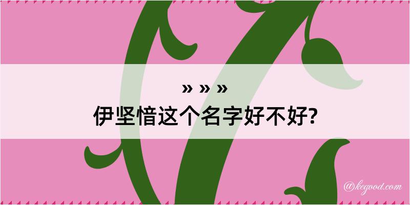 伊坚愔这个名字好不好?