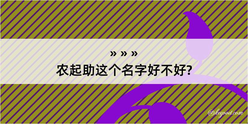 农起助这个名字好不好?