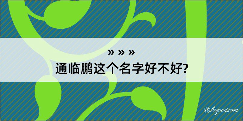 通临鹏这个名字好不好?