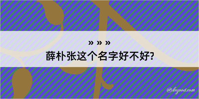 薛朴张这个名字好不好?