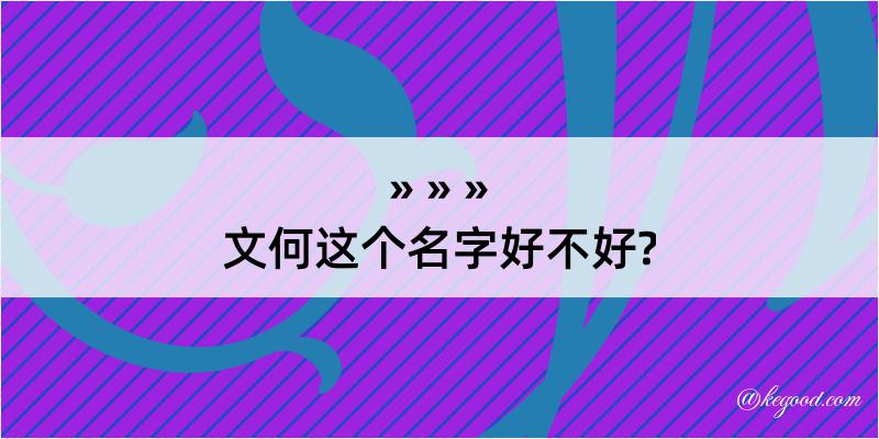 文何这个名字好不好?