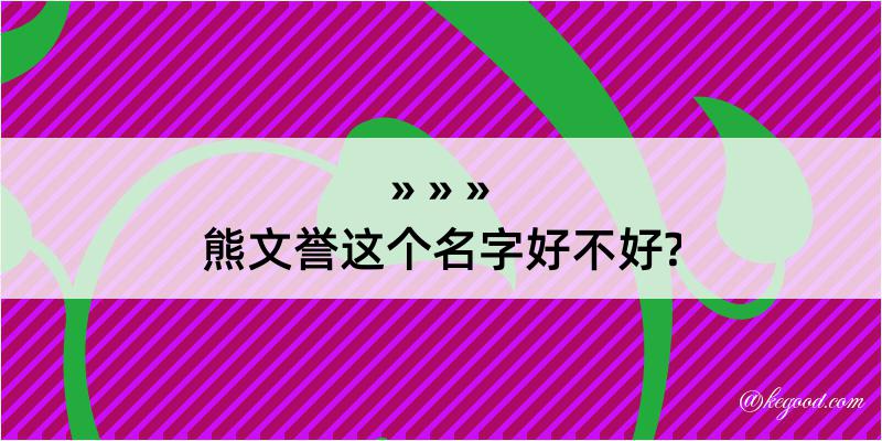 熊文誉这个名字好不好?