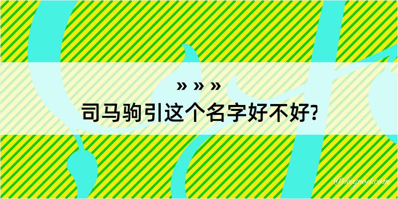 司马驹引这个名字好不好?