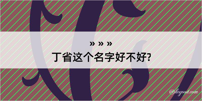 丁省这个名字好不好?