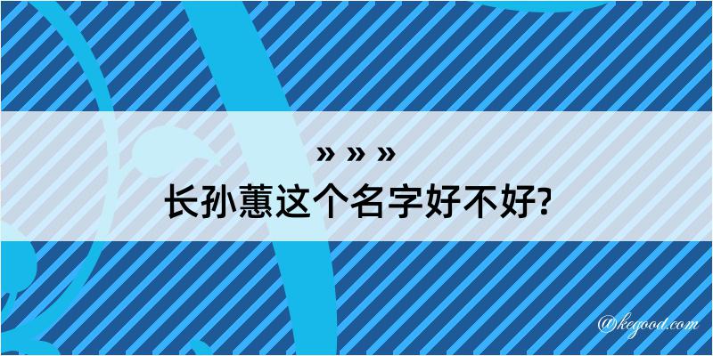 长孙蕙这个名字好不好?