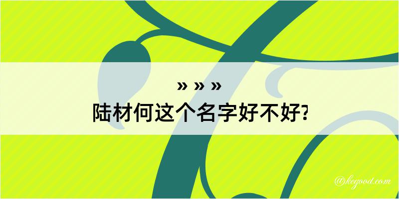 陆材何这个名字好不好?