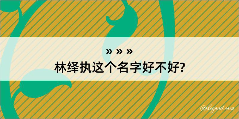 林绎执这个名字好不好?