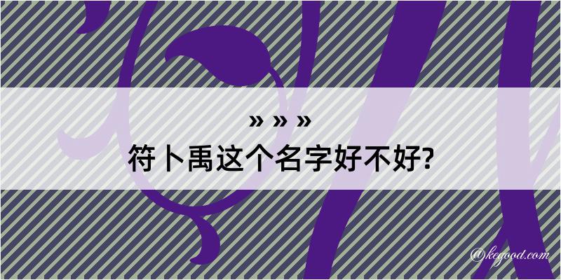 符卜禹这个名字好不好?