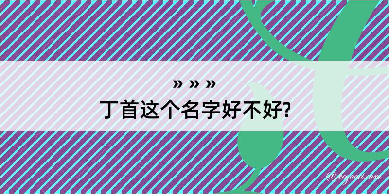 丁首这个名字好不好?