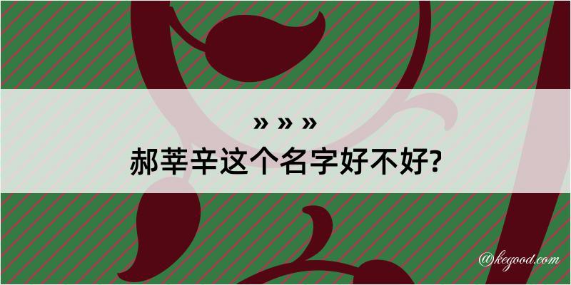 郝莘辛这个名字好不好?