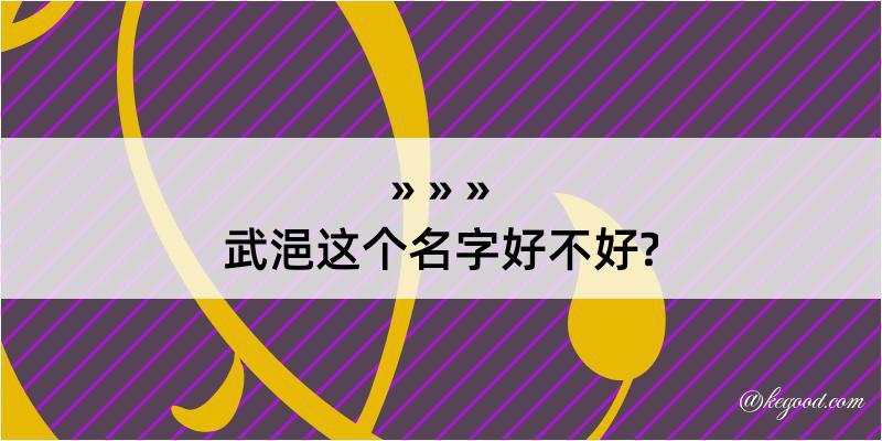 武浥这个名字好不好?