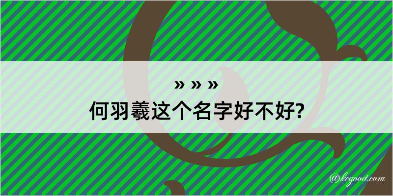 何羽羲这个名字好不好?