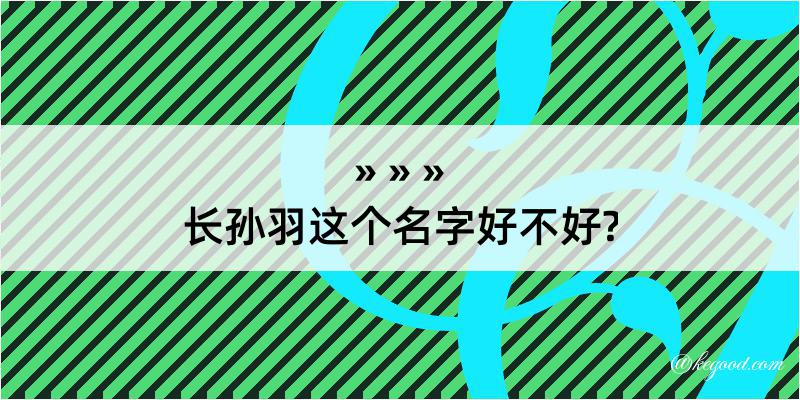 长孙羽这个名字好不好?