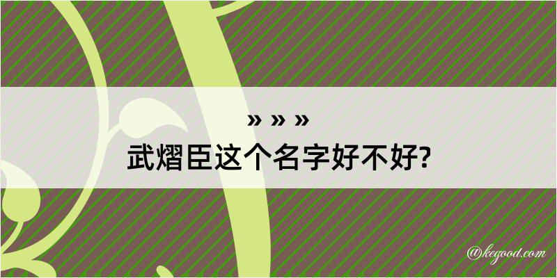 武熠臣这个名字好不好?