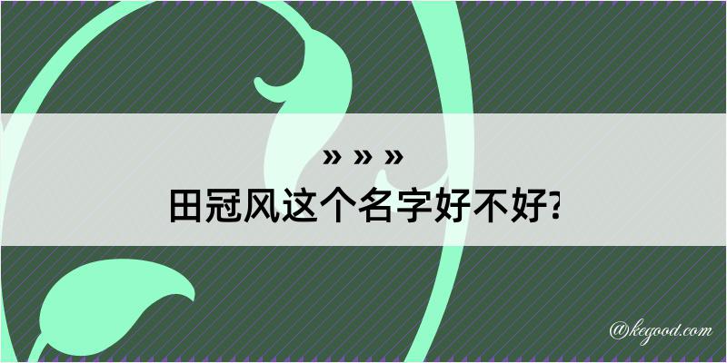 田冠风这个名字好不好?