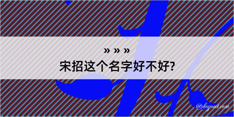 宋招这个名字好不好?