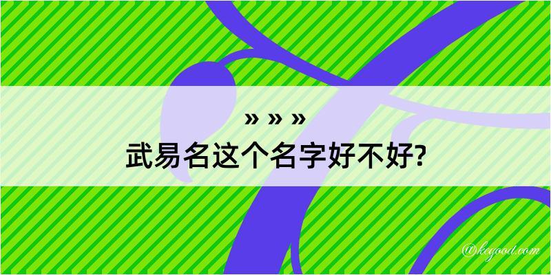 武易名这个名字好不好?