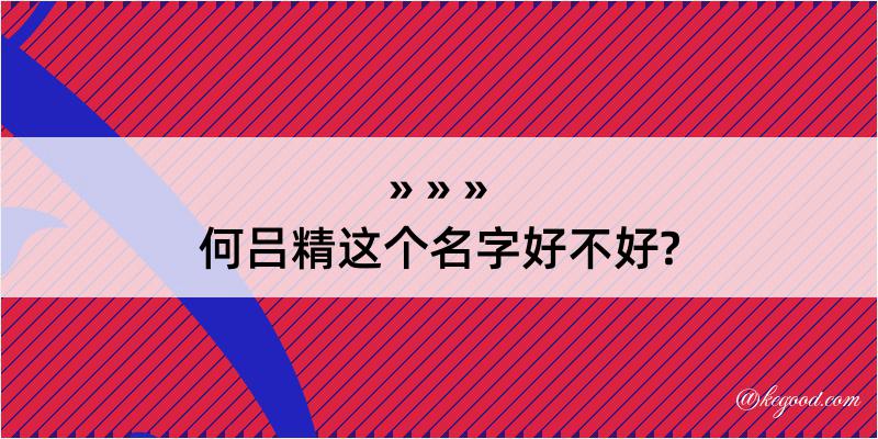 何吕精这个名字好不好?