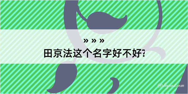 田京法这个名字好不好?