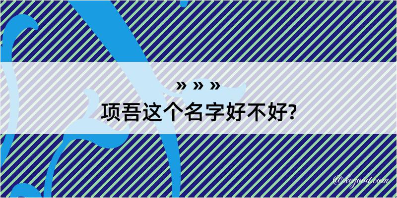 项吾这个名字好不好?