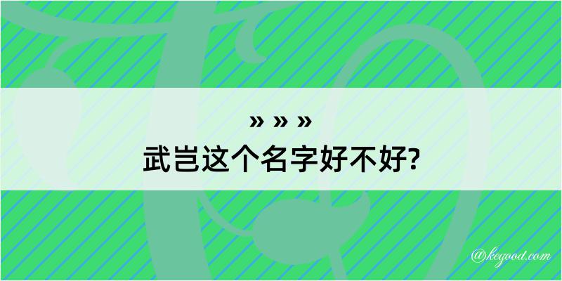 武岂这个名字好不好?